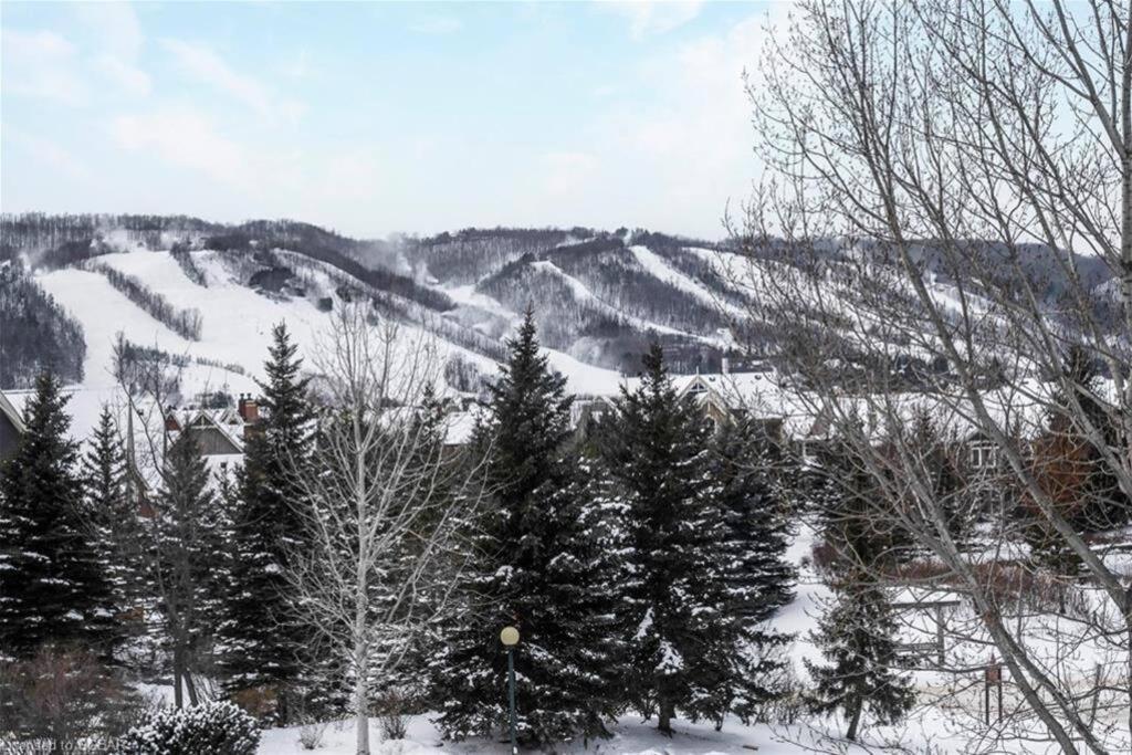 Cosy Chalet - 4 Season Family Oasis Колингууд Екстериор снимка